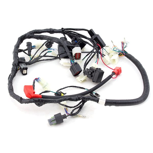 Wiring Loom for XF125R-E4