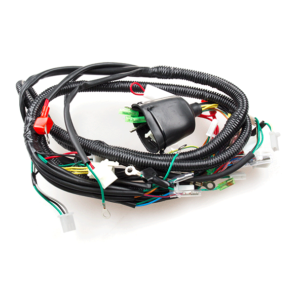 Wiring Loom for WY125T-121-E4
