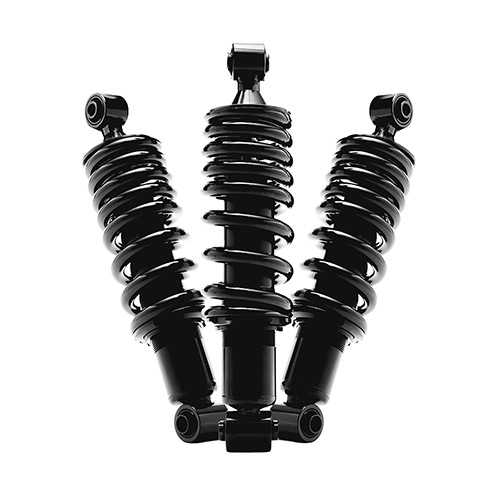 Suspension Category 1