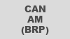 Can-Am (BRP)