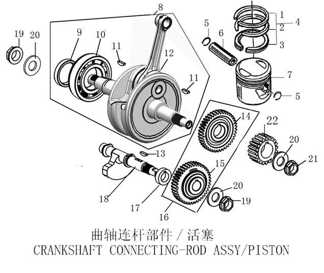 Crankshaft/Piston