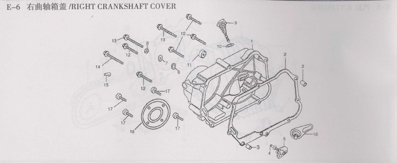 RIGHT CRANKCASE COVER