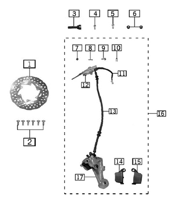 Rear Brake