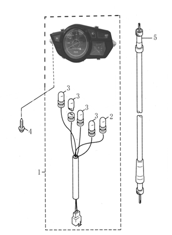 Speedo Assembly/Cable