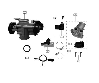 Throttle Body/Injector