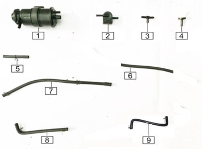 Carbon Canister/EGR hoses