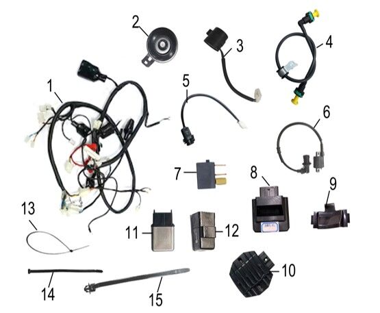 Wiring Loom and Electonics