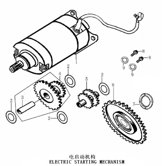 Starter Motor