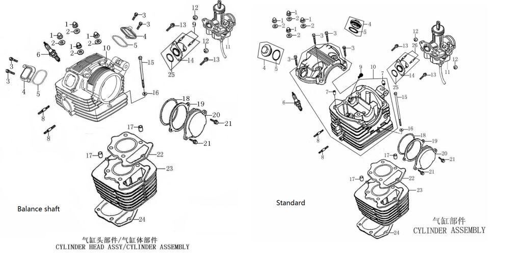 Cylinder/Cylinder Head