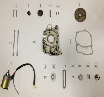Starter Motor/Right Crankcase Cover