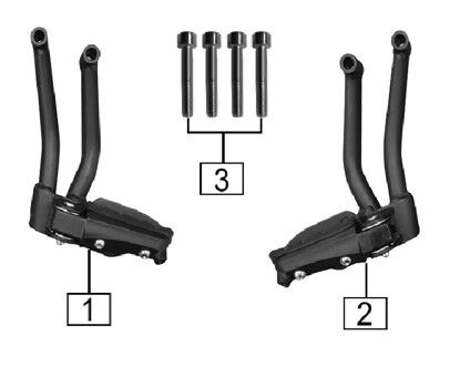 REAR FOOTPEG ASSEMBLY 