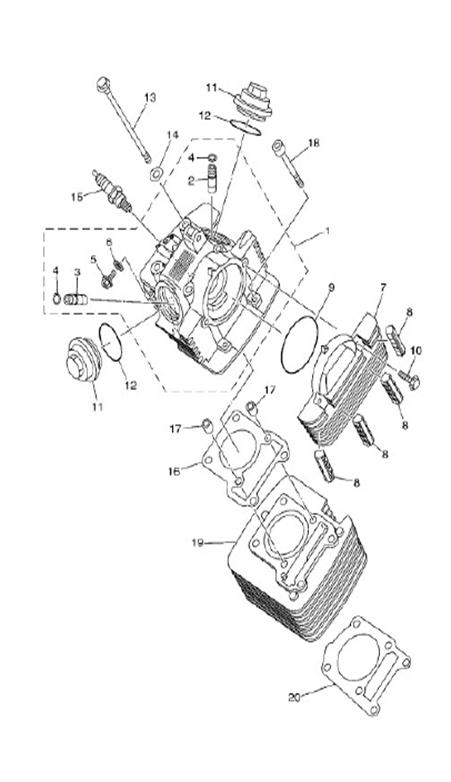 Cylinder/Cylinder Head