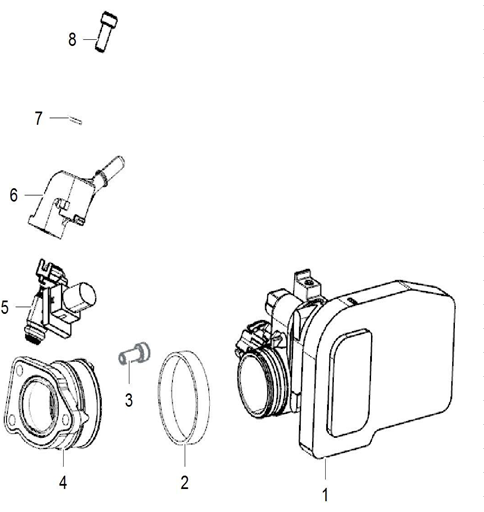 THROTTLE BODY/INJECTOR