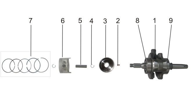Piston & Crankshaft Assembly