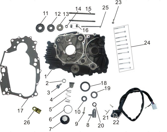 Left Crankcase Assembly
