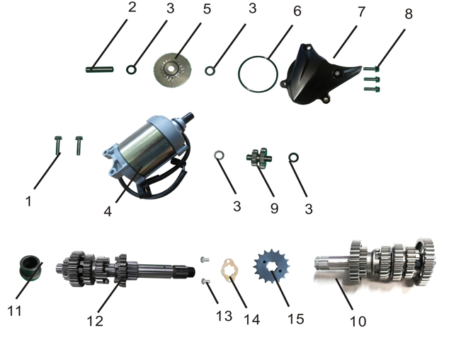 Starter Motor Assembly
