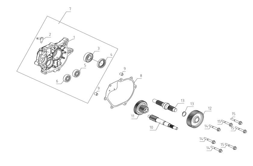 DRIVE SHAFT AND CASING