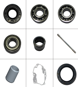 Left Crankcase Bearings