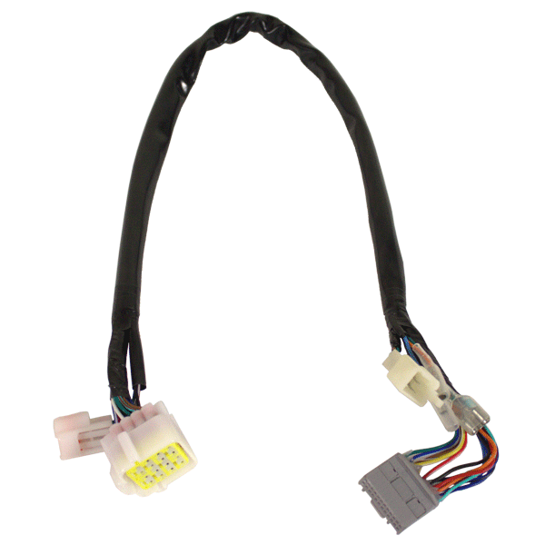 Speedo Wiring Loom for ZS125-48A