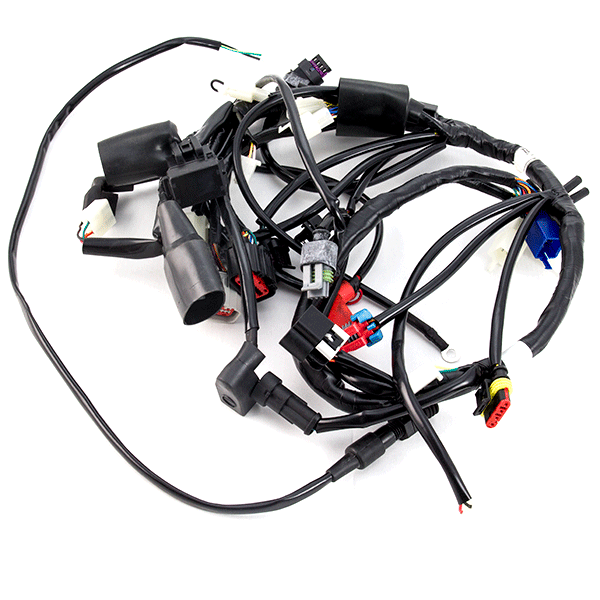 Wiring Looms and Harnesses Category 1