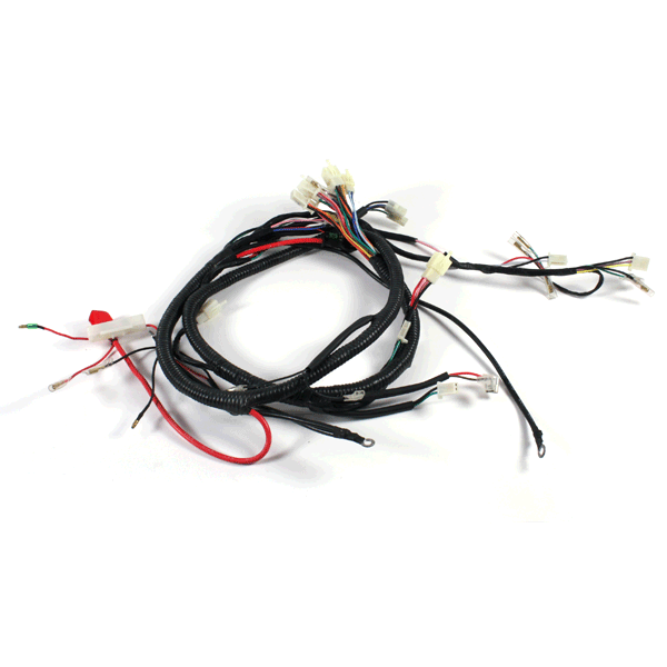 Wiring Loom for ARAGON 50, ARAGON 50 GP