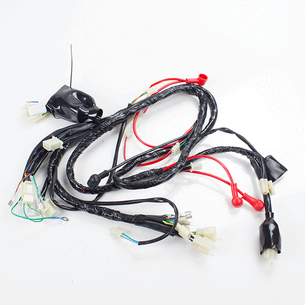 Wiring Loom DRL for ZN125T-7H, ZN125T-7H(SINNIS)