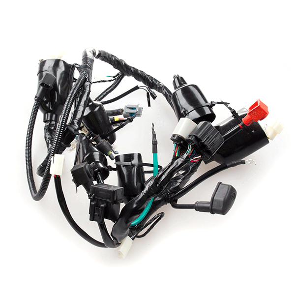 Wiring Loom for XFLM125GY-2B-E4