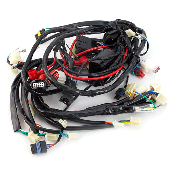 Wiring Loom for ZN125T-34