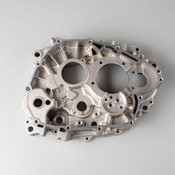 Right Crankcase for SK125-L, JAVELIN125, FIREFLY, SK125-L-E5