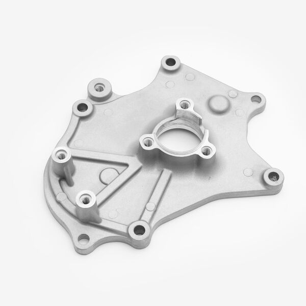 Crankcase Cover Right