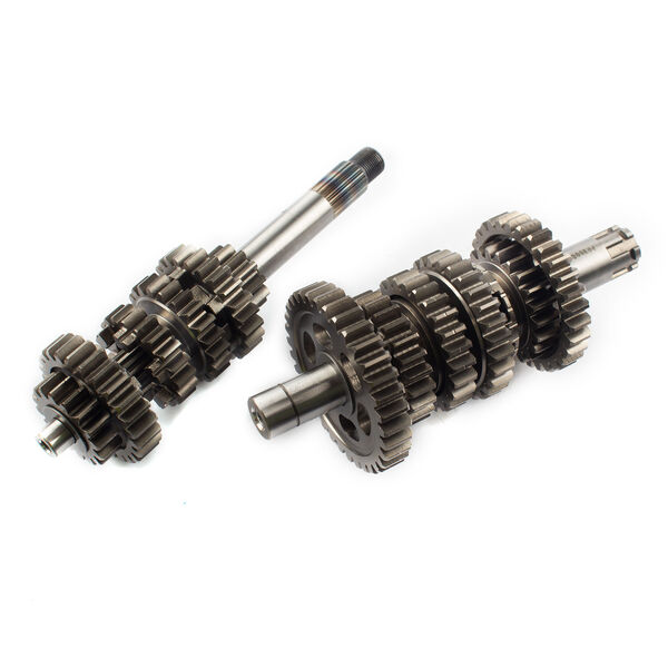 Complete Gearbox Input and Output Shaft