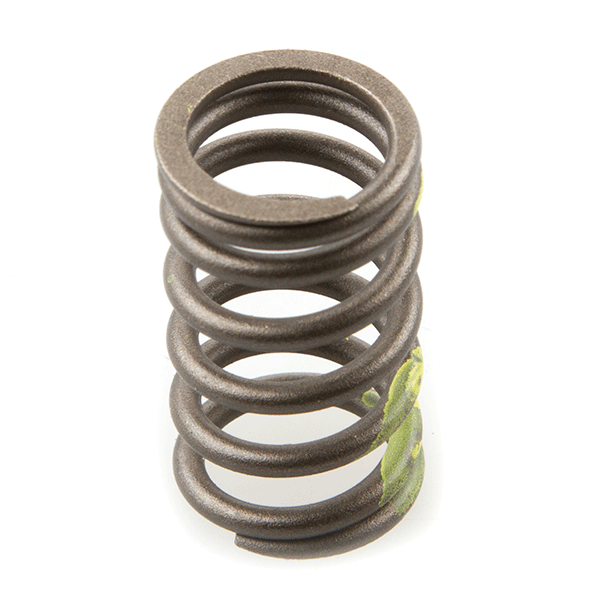 Valve Spring