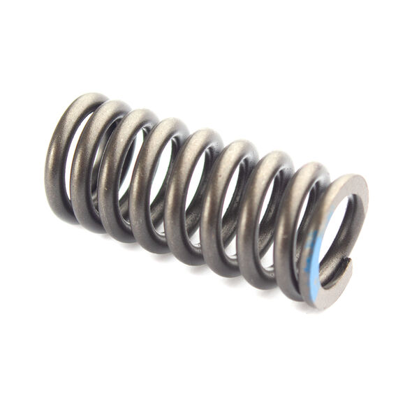 Valve Spring