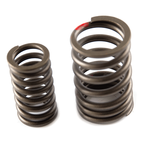 Valve Springs