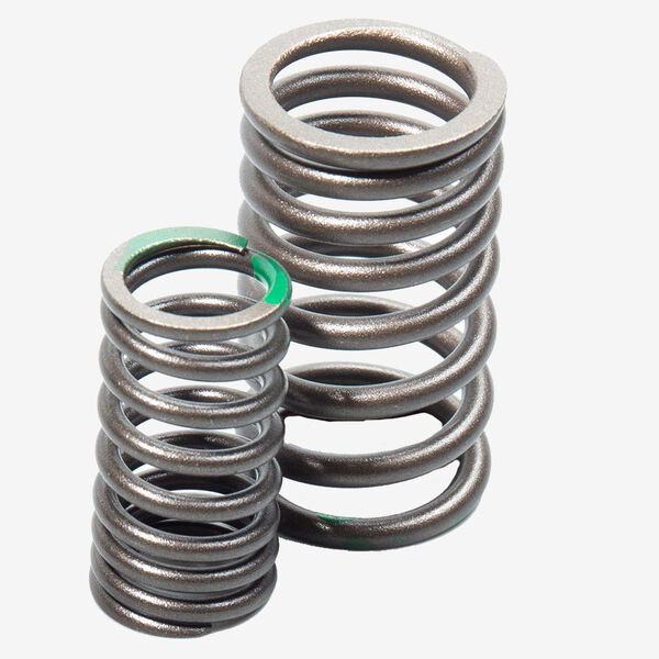 Valve Spring Set