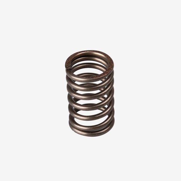 Valve Spring Outer for ZN125T-8F-E5