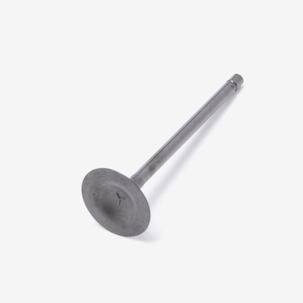 Inlet Valve for SK125-L-E5