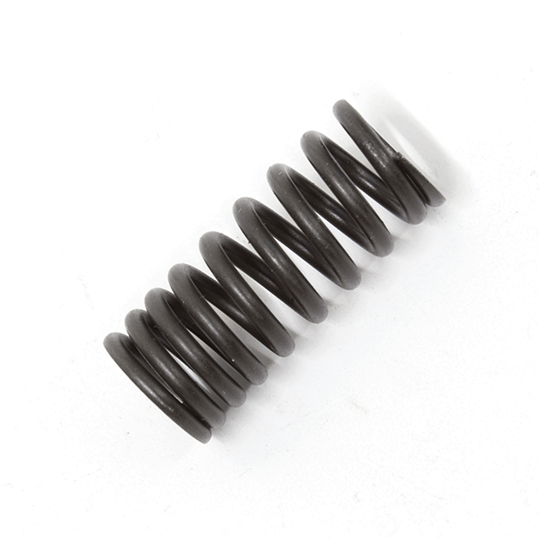 Valve Spring 1P50FMG for LF100-A