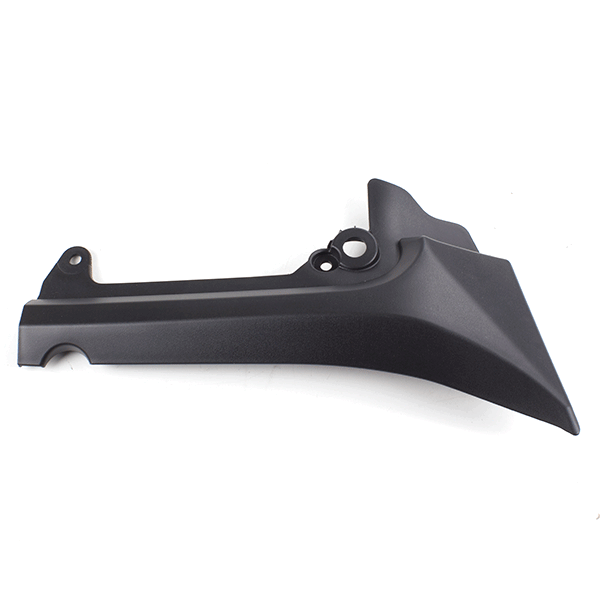 Right Frame Trim Piece for ZS125-79