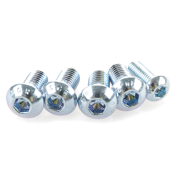 Ninja 300 (13-14) Rear Sets Replacement Bolt Kit