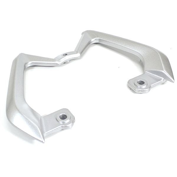 Pillion Handle