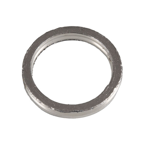 Exhaust Gasket for LJ300T-18-E5, LJ300T-18A-E5