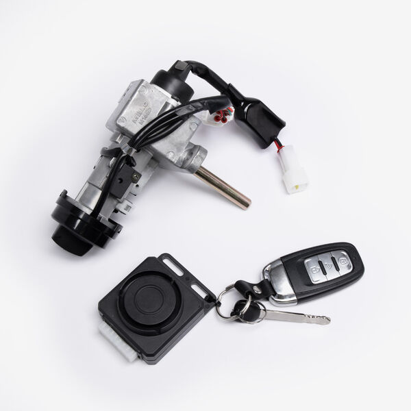 Remote Fob, Key & Lock Set