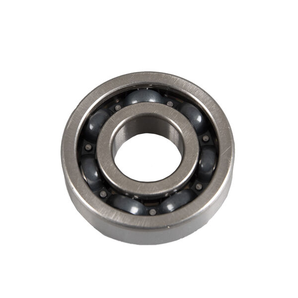 Bearing 6302