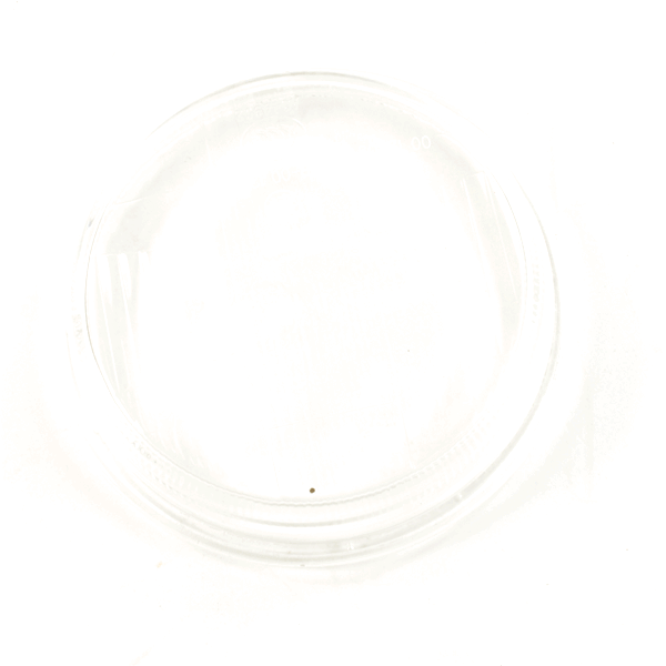 Headlight Lens for KS125GY-6