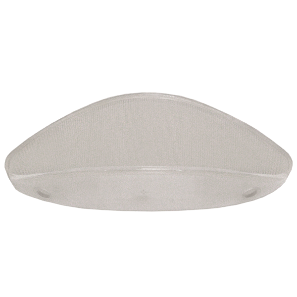 Clear Tail Light Assembly